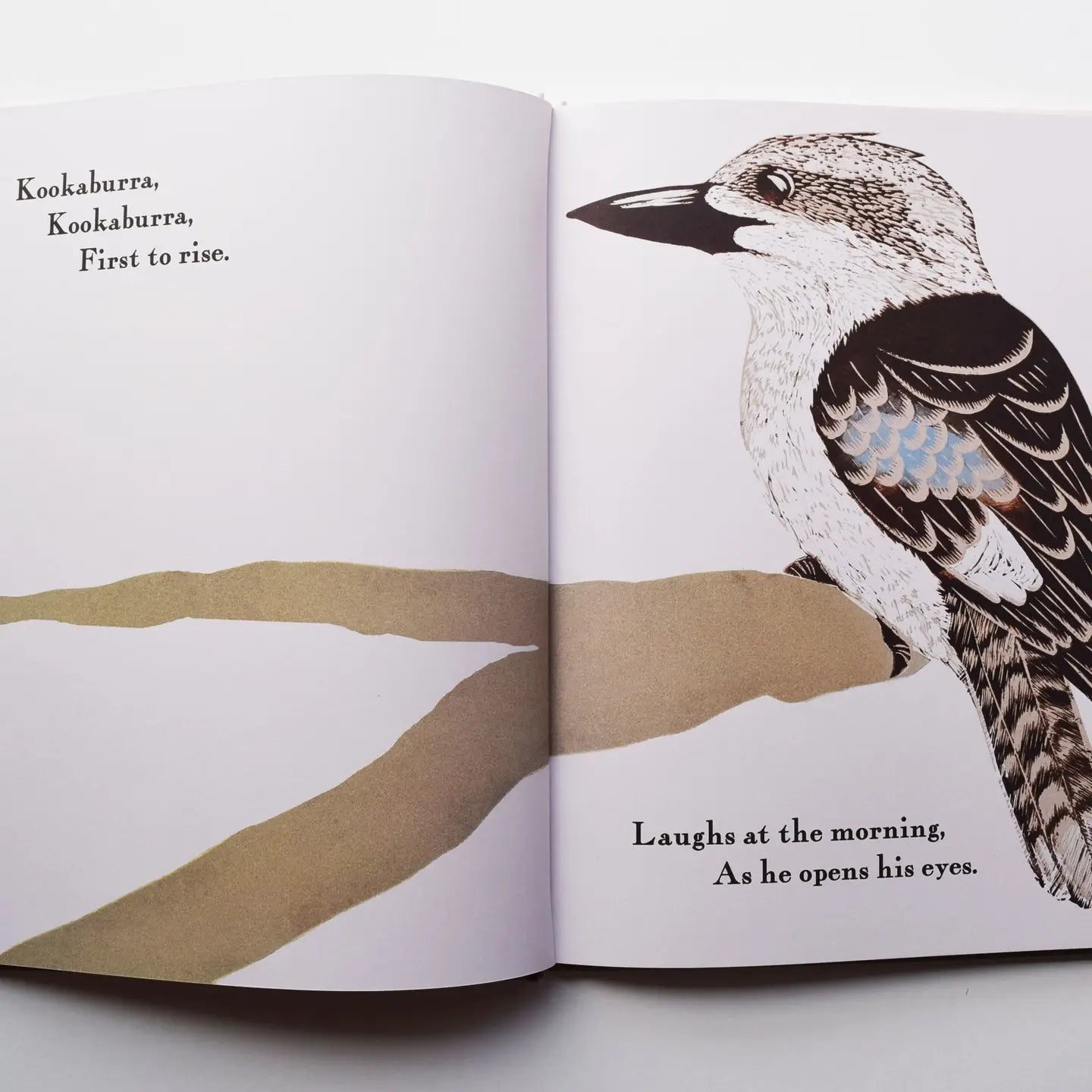 Kookaburra Kookaburra by Bridget Farmer