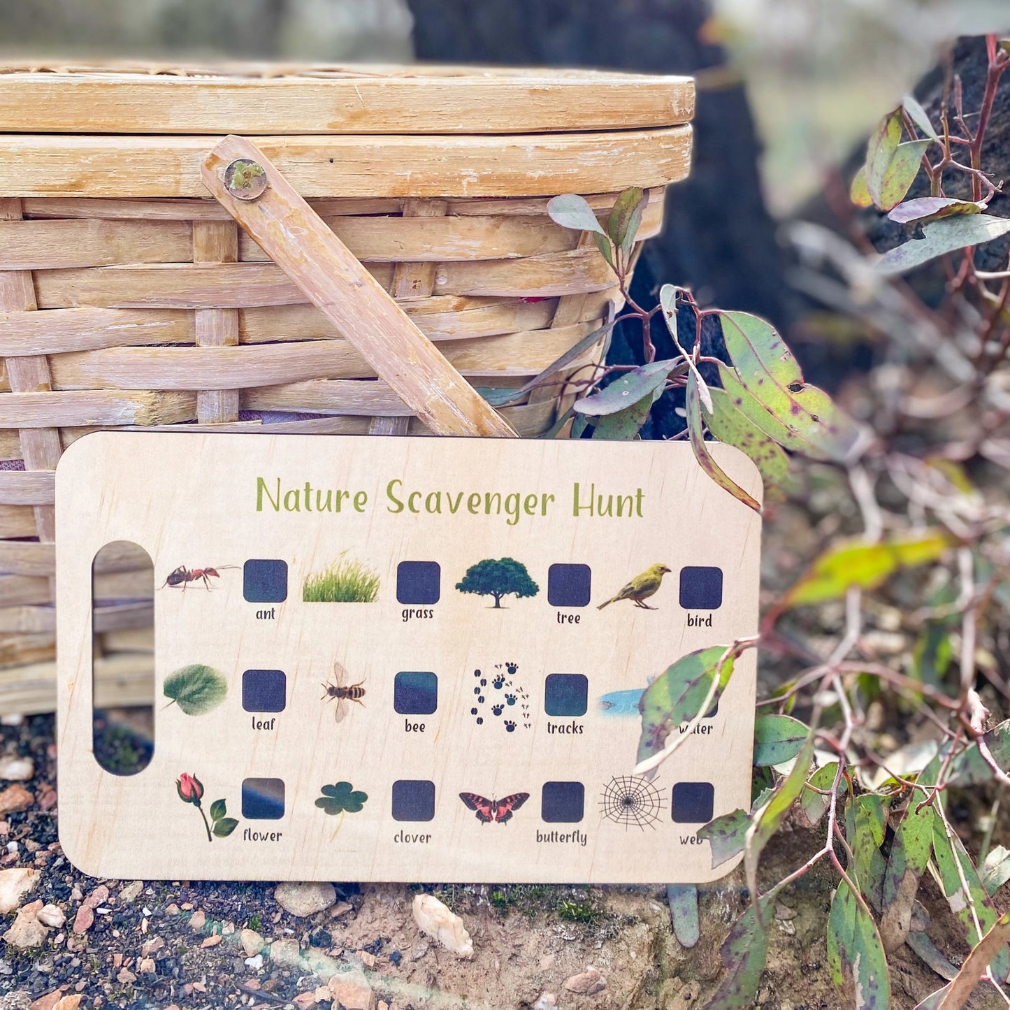 Nature Scavenger Hunt Board