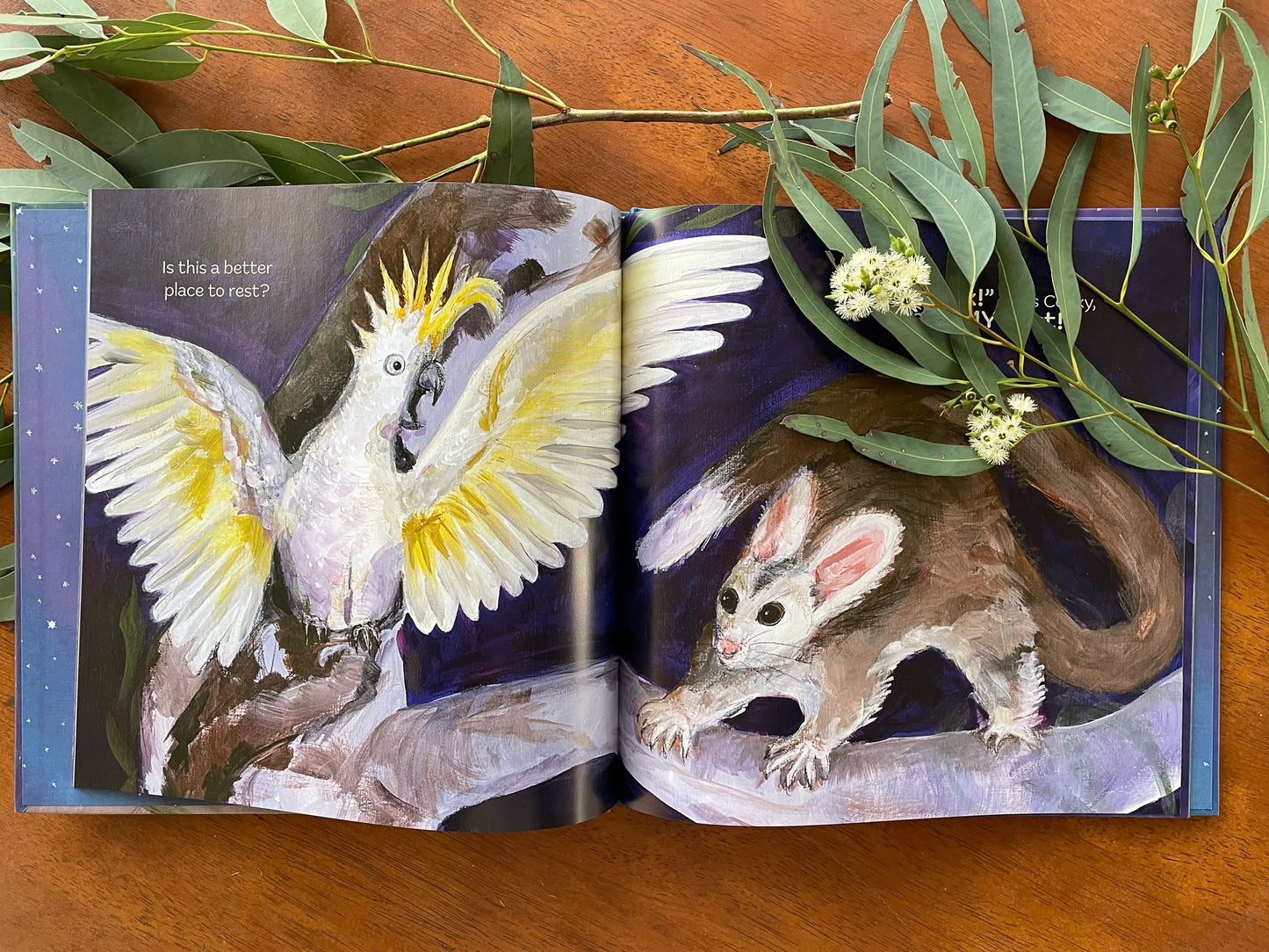 The Perfect Hollow: A Greater Glider Story by Cate Storey
