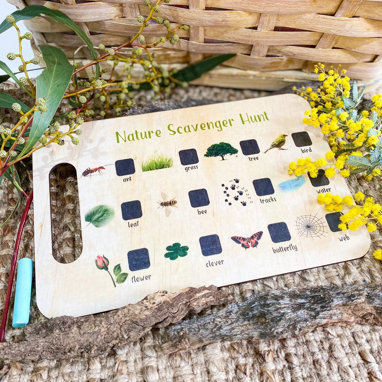 Nature Scavenger Hunt Board