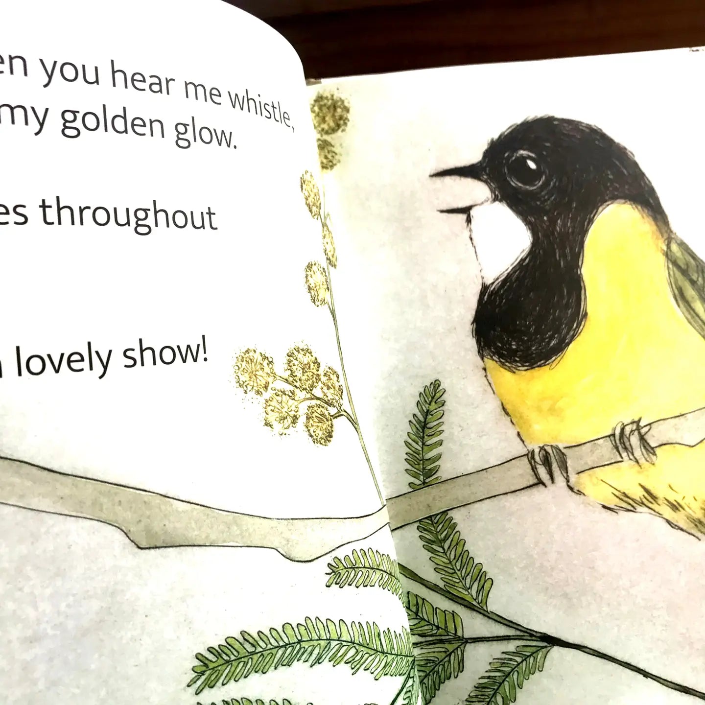 The Bush Birds (Lift The Flap) by Bridget Farmer